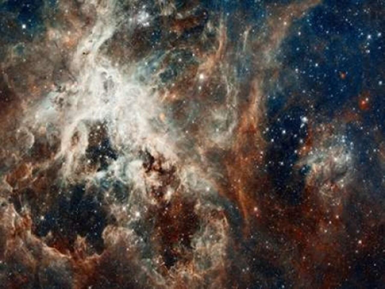 Tarantula Nebula - Compressed Version Poster Print by NASA - Item # VARPDX393590